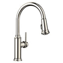 Polished Nickel